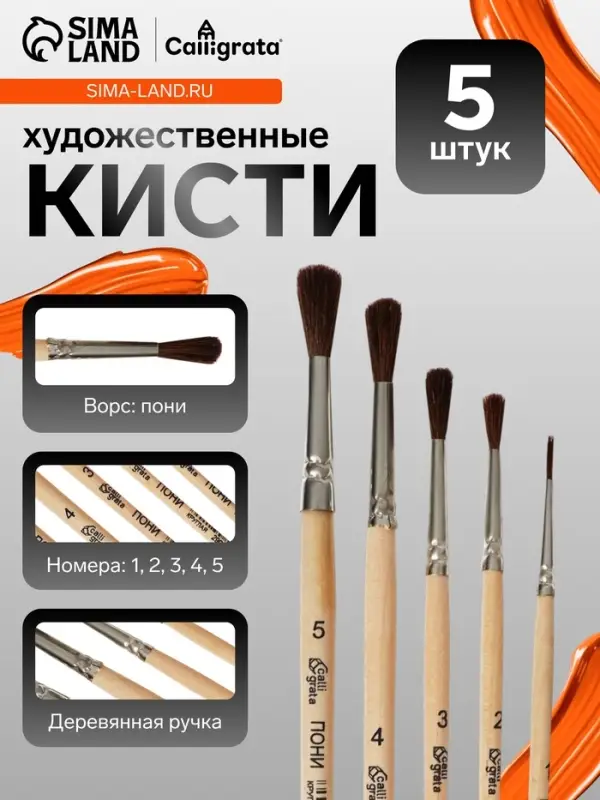 Набор кистей для рисования, пони, 5 штук: №: 1, 2, 3, 4, 5, Calligrata, круглые, деревянная ручка, в пенале