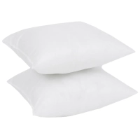 Подушка Luscan 40х40 (набор 2 шт.) (ПЭ100%/спанбонд), белый