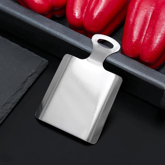 Тёрка для сыра Доляна, 11×7,5×1,2 см, цвет серебристый Тёрка для сыра Доляна, 11×7,5×1,2 см, цвет серебристый