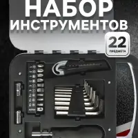 Набор инструментов ТУНДРА, пластиковый кейс, 22 предмета