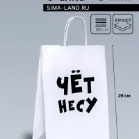 Пакет подарочный бумажный «Чёт несу», 24×14×28 см
