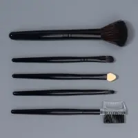 Набор кистей для макияжа SMOKY, 5 шт., чёрный