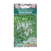 Семена Физостегия виргинская "Белая Башня", 0 ,1 г Семена Физостегия виргинская "Белая Башня", 0 ,1 г