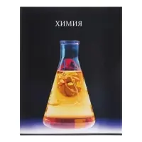 Набор предметных тетрадей Calligrata TOP &laquo;Школьный стиль&raquo;, 10 предметов, 48 листов, со справочным материалом, пластиковая обложка