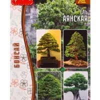 Семена Ель &laquo;Аянская&raquo;, 10 шт., &laquo;Григорьев&raquo;