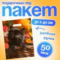 Пакет подарочный «Милое создание», полиэтиленовый с вырубной ручкой, 30×40 см 50 мкм