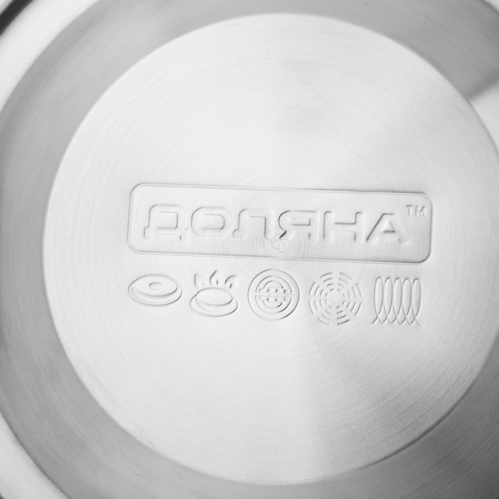 Чайник со свистком из нержавеющей стали Доляна «Мрамор», 3 л, фиксированная ручка, цвет хромированный