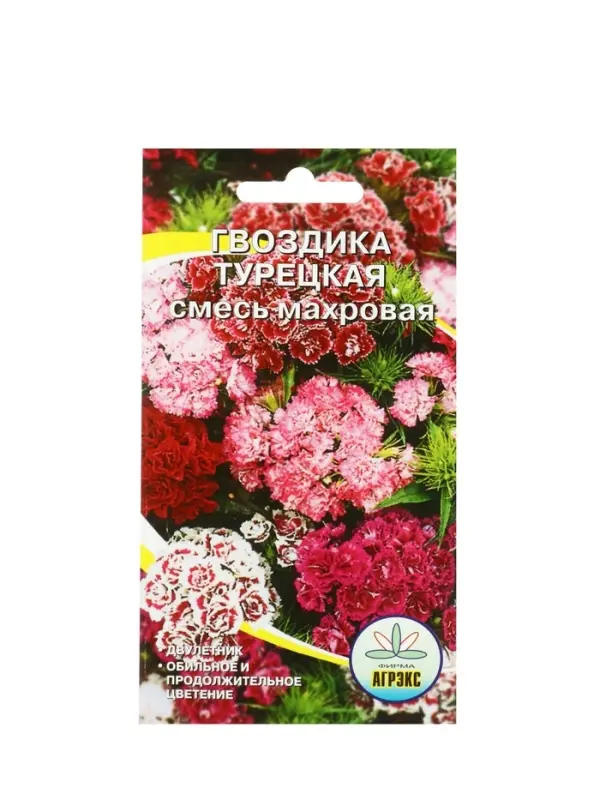 Семена цветов Гвоздика &laquo;Турецкая&raquo;, 0.1 г