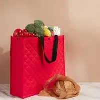 VETTA Сумка хозяйственная трехслойная, 34х40х12,5см, 17л, до 10кг, полиэстер, красная