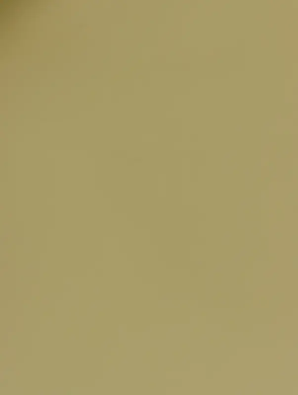 Пленка для цветов и букетов &laquo;Полупрозрачная кайма&raquo;, оливковая, 57&times;57 см