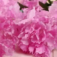 Цветы искусственные &laquo;Фиалка на ветке&raquo;, 5&times;80 см, розовые