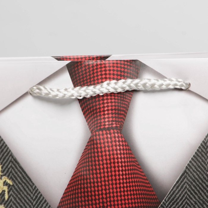 Пакет подарочный ламинированный, упаковка, «Джентльмен», ML 21 х 25 х 8 см