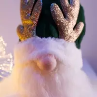 Фигура текстиль «Гном зеленая шапочка» 33 см, 1 LED, от батареек AG13×3, свечение тёплое белое Фигура текстиль «Гном зеленая шапочка» 33 см, 1 LED, от батареек AG13×3, свечение тёплое белое