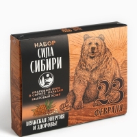 Набор «Сила Сибири»: кедровый орех в сосновом сиропе 25 г., бальзам 100 мл., кедрокофе 50 г.