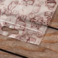 Пакет подарочный, с zip - lock застежкой, 15×23 см