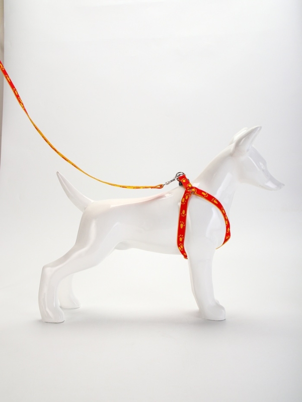 Комплект Комплект "Большая лапа", ширина 1,5 см, поводок 120 см, шлейка 28-42 см, оранжево-жёлтый