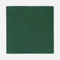 Лейбл Listra Latte, L, зеленый