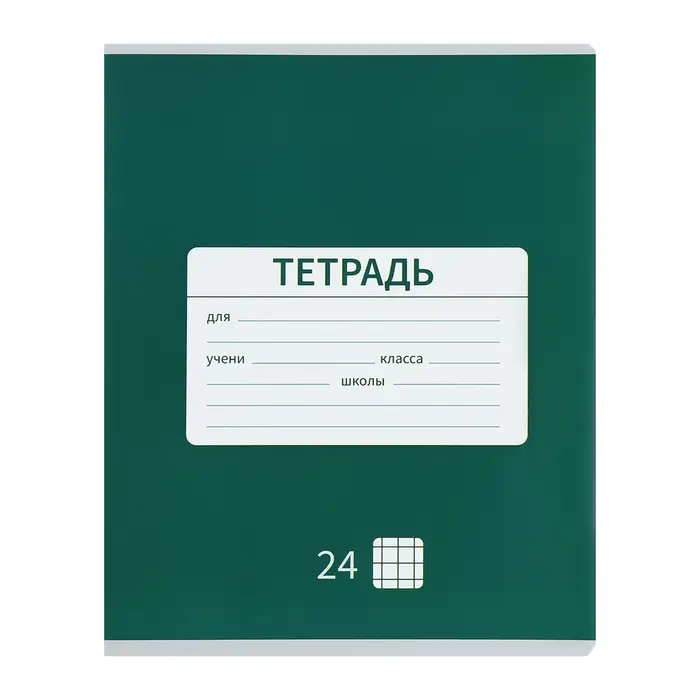 Тетради 10 штук, 24 листа в клетку &laquo;Однотонная Новая&raquo;, обложка мелованная бумага, ВД-лак, блок офсет, 5 видов по 2 шт.