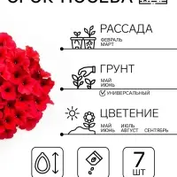 Семена цветов Петуния &laquo;Мамбо&raquo; F1 бургунди, многоцветковая, 7 шт.