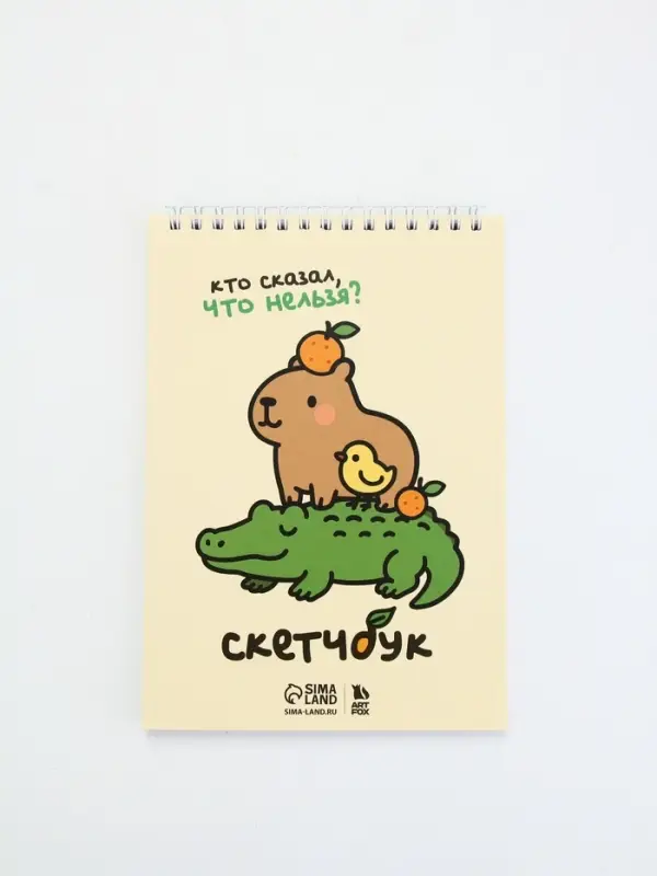 Скетчбук А5, 40 л. 100 г/м "Кто сказал, что нельзя?"