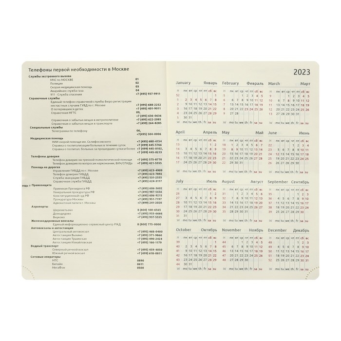 Ежедневник датированный 2024 A5 176 листов, deVENTE.I Love Cat, твёрдая обложка из искусственной кожи, тиснение фольгой, ляссе, кремовый блок 70 г/м2, розовый