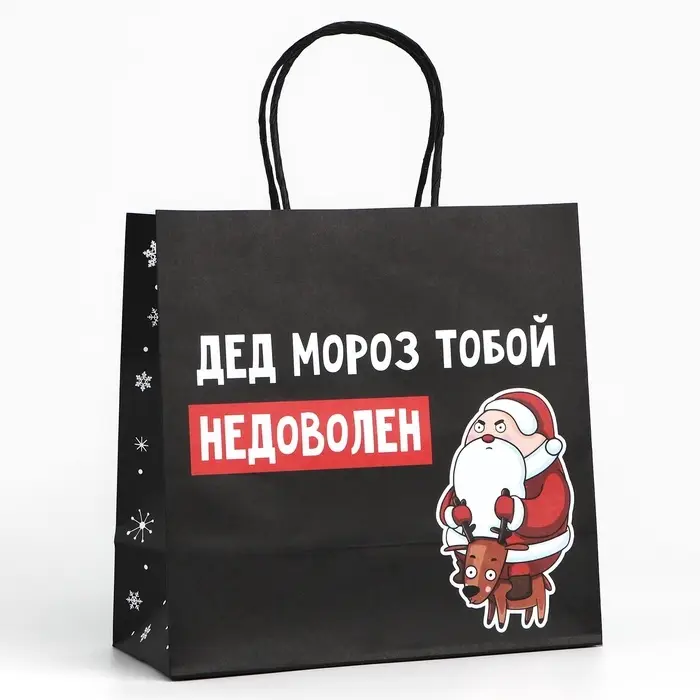 Пакет подарочный новогодний &laquo;Подарок, который ты заслужил&raquo;, 22&times;22&times;11 см