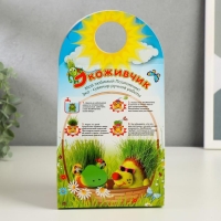 Растущий подарок травка Экоживчик "Гусеница"
