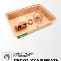 Клетка для грызунов &laquo;Пижон&raquo;, 38&times;27&times;27 см, складная, домик, миска, колесо, бежевая