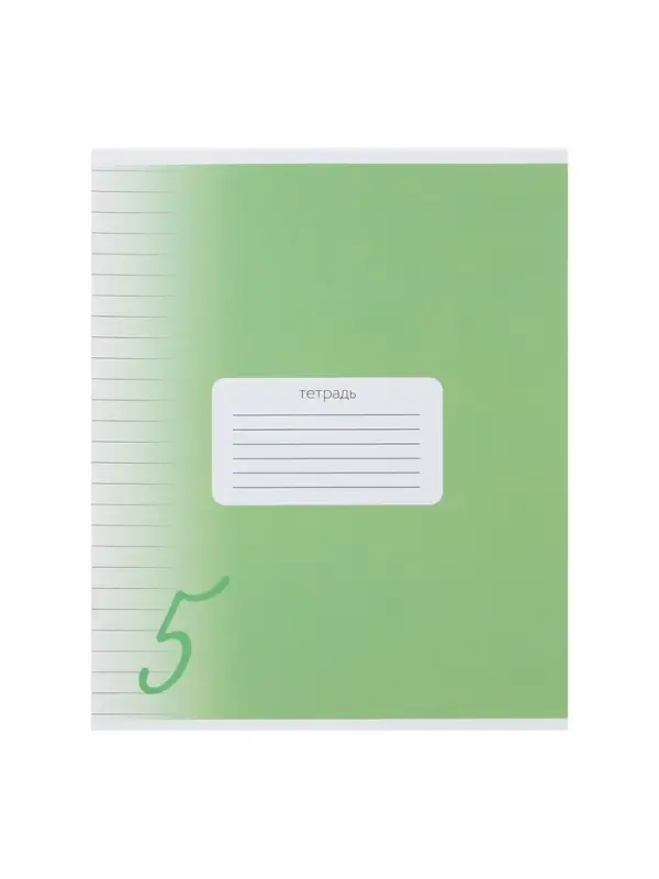 Комплект тетрадей из 10 штук, 24 листа в линию Calligrata "Пятёрка", обложка мелованный картон, ВД-лак, блок офсет, 5 видов по 2 штуки
