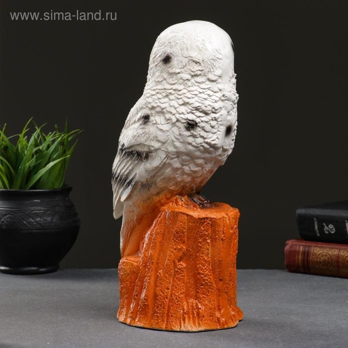 Копилка  Копилка "Сова полярная" 14х12х27см