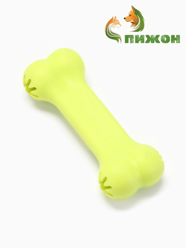 Игрушка жевательная Игрушка жевательная "Вкусная кость" с отверстиями для лакомств, TPR, 11 см, салатовая