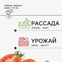 Семена Томат &laquo;Каспер&raquo;, 0.08 г, &laquo;Агрос&raquo;