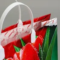 Пакет &laquo;Браво&raquo;, мягкий пластик, 30&times;30 см, 150 мкм