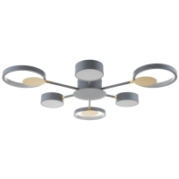 Люстра с ПДУ 2301/6GR LED 120Вт 3000-6000К серый 75х75х8 см BayerLux