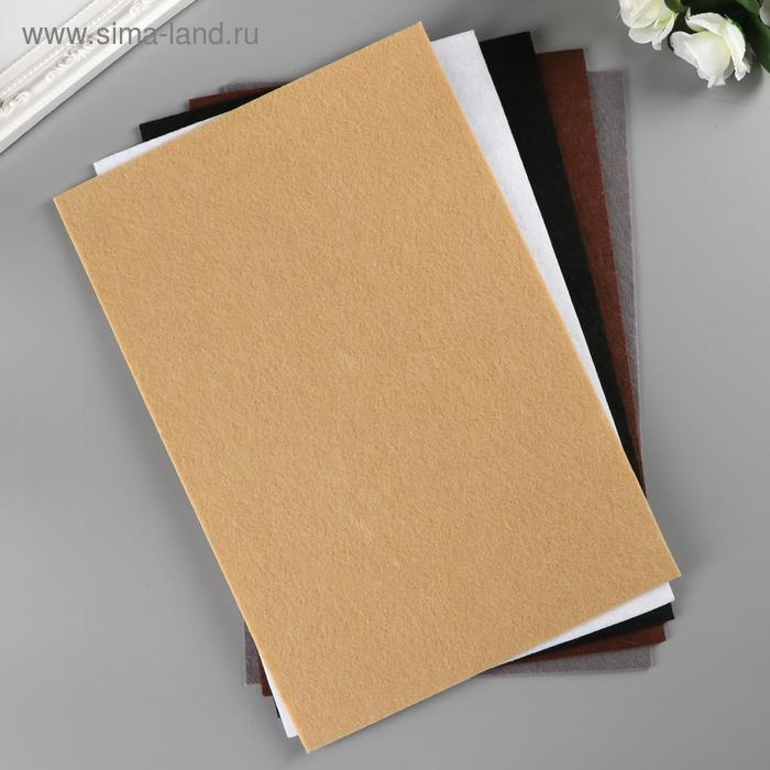 Фетр Фетр "BLITZ" 2,2 мм, жёсткий 20х30 см ± 2 см (набор 5 шт) ассорти №5