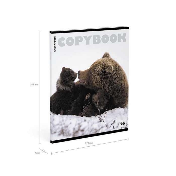 Тетрадь 96 листов в клетку, ErichKrause Тетрадь 96 листов в клетку, ErichKrause "Медведи", обложка мелованный картон, глянцевая ламинация, блок офсет 100% белизна, МИКС