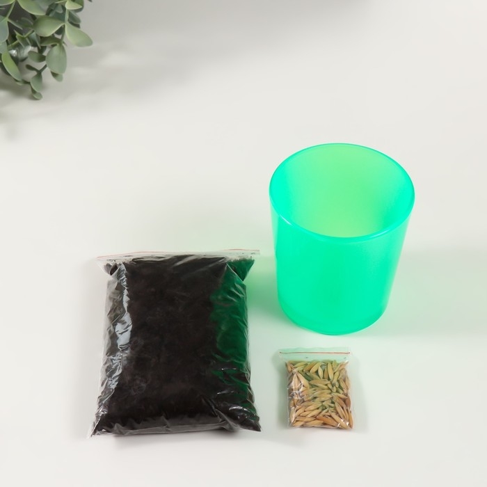 Набор для выращивания растений Набор для выращивания растений "Вырасти травку" зеленый