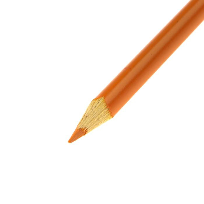 Карандаши 24 цвета, Koh-I-Noor 3134 TRIOCOLOR, картонная упаковка, европодвес Карандаши 24 цвета, Koh-I-Noor 3134 TRIOCOLOR, картонная упаковка, европодвес