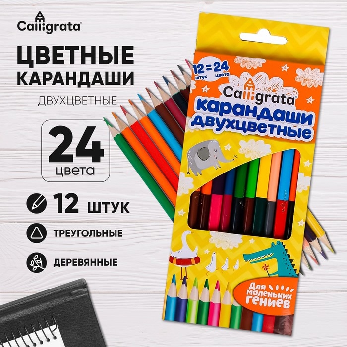Карандаши двусторонние, заточенные, 12 штук, 24 цвета, корпус треугольный, деревянный, в картонной коробке Карандаши двусторонние, заточенные, 12 штук, 24 цвета, корпус треугольный, деревянный, в картонной коробке