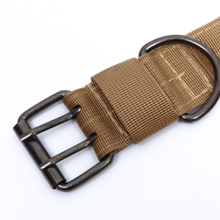 Ошейник с мягкой подкладкой, 67 х 4 см, ОШ 43-53 см, песочный Ошейник с мягкой подкладкой, 67 х 4 см, ОШ 43-53 см, песочный