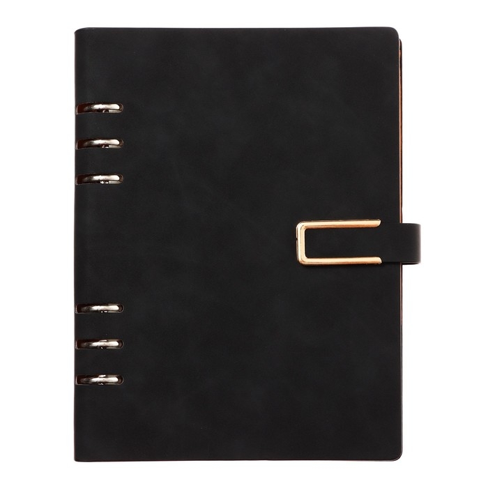 Органайзер на кольцах, формат А5, 90 листов, линия, с хлястиком, обложка кожзам МИКС Органайзер на кольцах, формат А5, 90 листов, линия, с хлястиком, обложка кожзам МИКС