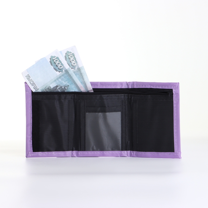 Кошелёк детский на липучке &laquo;Выбражулька&raquo;, цвет сиреневый