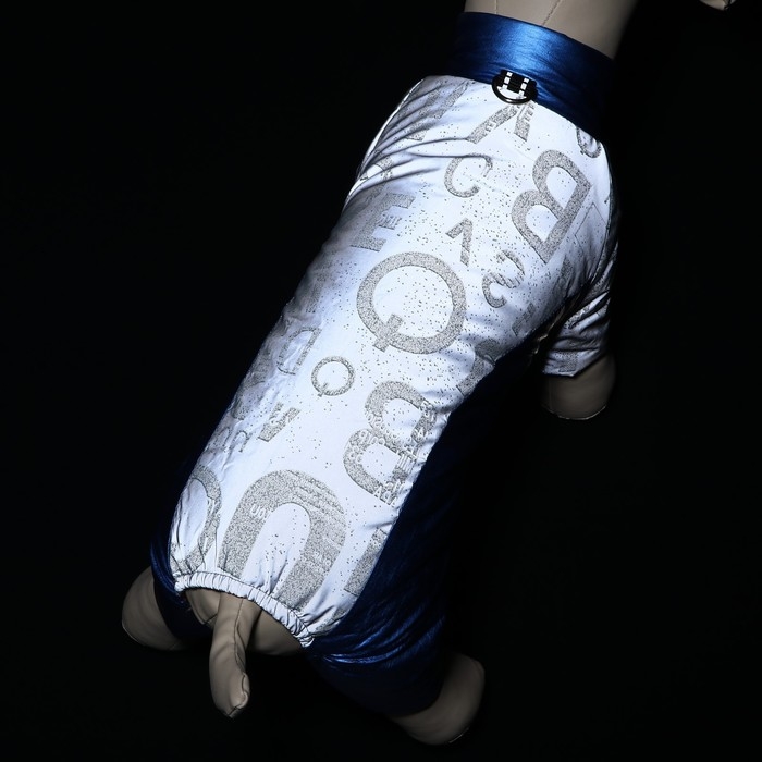 Комбинезон Комбинезон "Ультра", размер 14 (ДС 32 см, ОГ 42 см, ОШ 31 см), синий