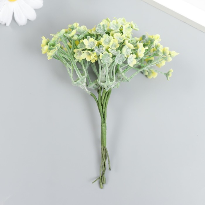 Декор для творчества Декор для творчества "Соцветие - Пилея стелющаяся" 1 букет= 6 веточек зелёный 10 см