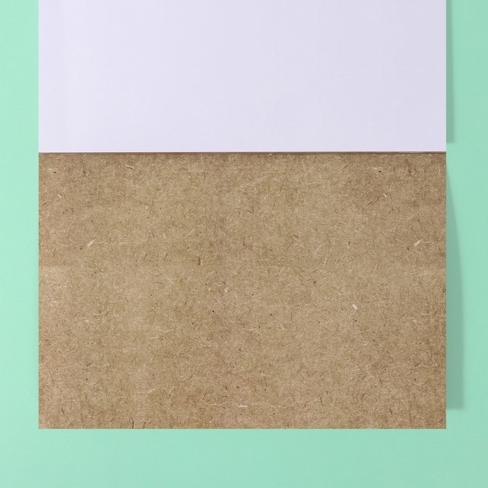 Наклейки в книжке Наклейки в книжке "Дорогой дневник. Винтаж" + 3 фона 20,7х14,2 см