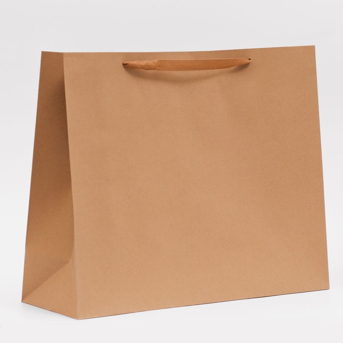 Пакет крафт без печати, 53 х 43.5 х 18 см 210 гр Пакет крафт без печати, 53 х 43.5 х 18 см 210 гр