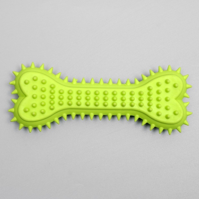 Игрушка жевательная литая Игрушка жевательная литая "Кость с шипами", 15 х 6 х 2,5 см, салатовая