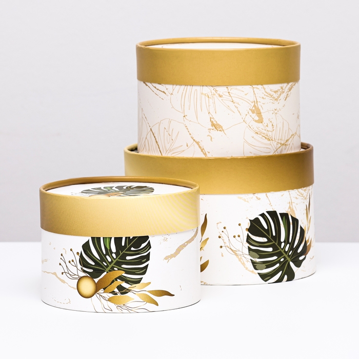 Набор шляпных коробок 3 в 1 "Тропики" , завальцованная, 16 х 10, 14 х 9, 13 х 8,5 см