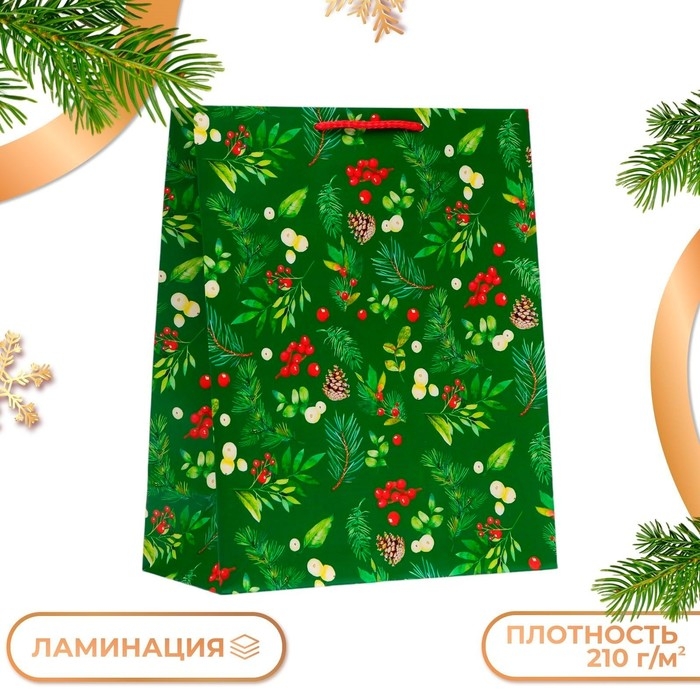 Новый год. Пакет подарочный  Новый год. Пакет подарочный "Веточки", 26 х 32 х 12 см.