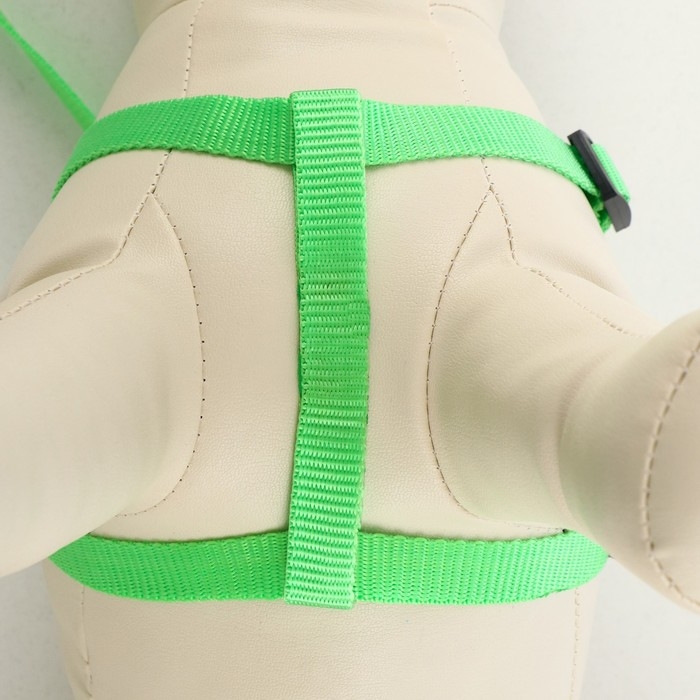 Комплект  Комплект "Базис", поводок 120 х 1,5 см, шлейка 32-46 х 1,5 см, зелёный